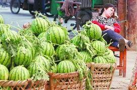 伊犁吃瓜最新事件爆料,揭秘背后惊人真相！