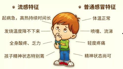 流感高清在线观看,揭秘病毒肆虐下的生死较量